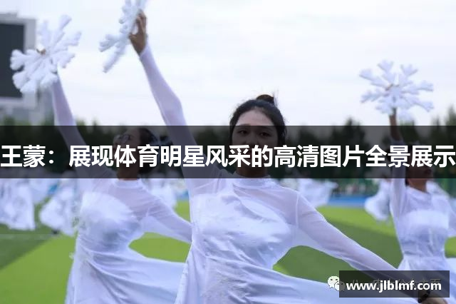 王蒙：展现体育明星风采的高清图片全景展示