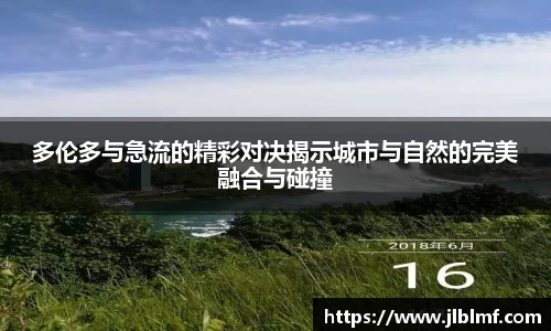 多伦多与急流的精彩对决揭示城市与自然的完美融合与碰撞